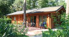 Chalet Boekhorst-6 à EuroParcs Brunssummerheide