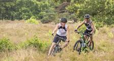 Wandern und Radfahren Aktivitäten in Landal Het Land van Bartje